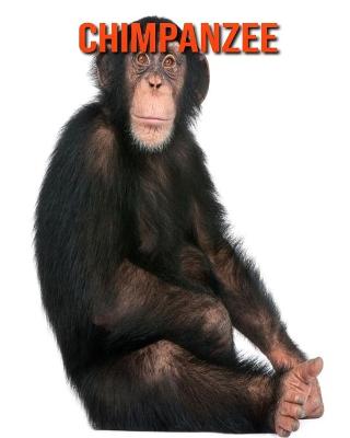 Book cover for Chimpanzee