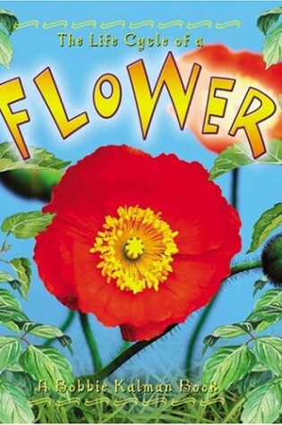 Cover of The Life Cycle of the Flower