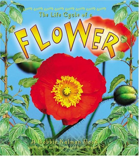 Book cover for The Life Cycle of the Flower