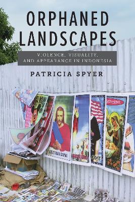 Cover of Orphaned Landscapes