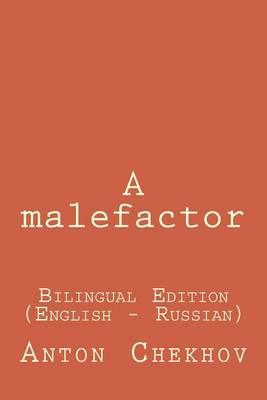 Book cover for A Malefactor
