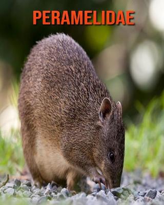 Book cover for Peramelidae