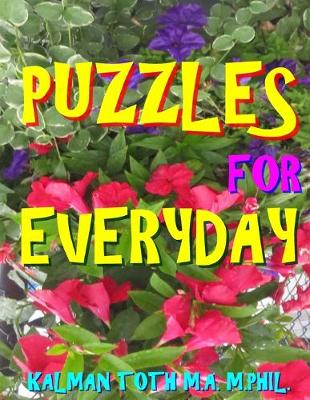 Book cover for Puzzles for Everyday