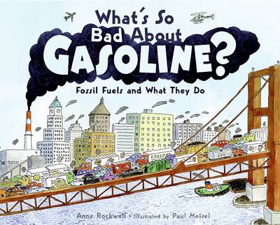 Book cover for What's So Bad about Gasoline?
