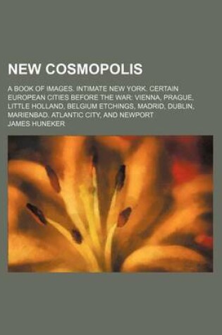 Cover of New Cosmopolis; A Book of Images. Intimate New York. Certain European Cities Before the War Vienna, Prague, Little Holland, Belgium Etchings, Madrid, Dublin, Marienbad. Atlantic City, and Newport