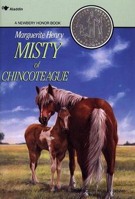 Book cover for Misty of Chincoteague