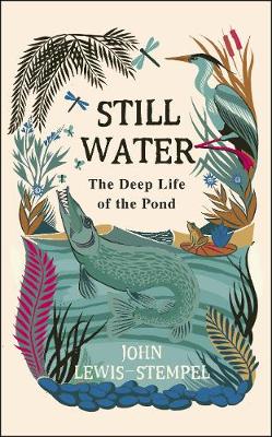 Book cover for Still Water