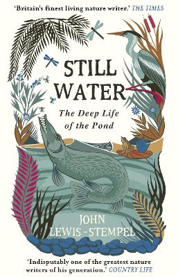 Book cover for Still Water