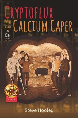 Book cover for Cryptoflux Calcium Caper