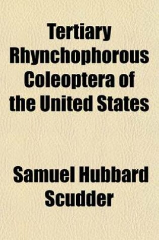 Cover of Tertiary Rhynchophorous Coleoptera of the United States