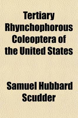 Book cover for Tertiary Rhynchophorous Coleoptera of the United States