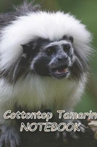 Cover of Cottontop Tamarin NOTEBOOK