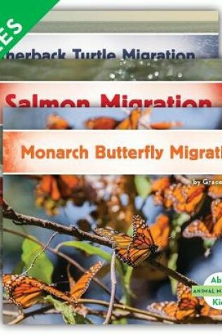 Cover of Animal Migration Set 1 (Set)