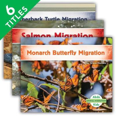 Cover of Animal Migration Set 1 (Set)