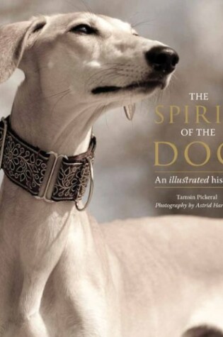 Cover of The Spirit of the Dog