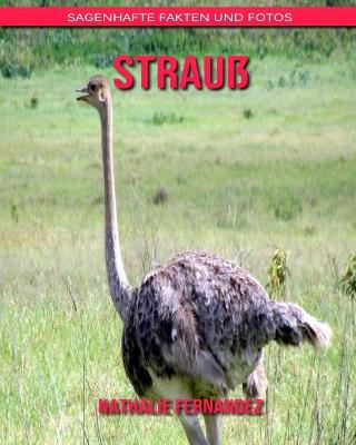 Book cover for Strauß