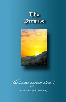 Book cover for The Promise