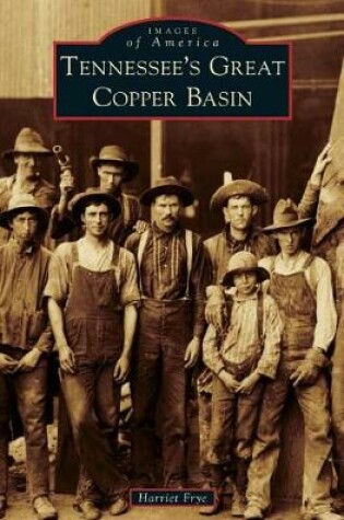 Cover of Tennessee's Great Copper Basin