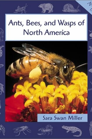 Cover of Ants, Bees, and Wasps of North America