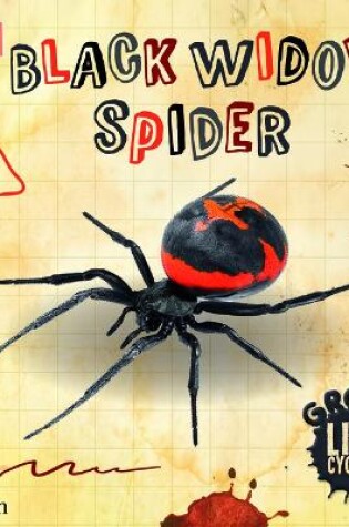 Cover of Bug Club Reading Corner: Age 5-7: Gross Lifecycles: Black Widow Spider
