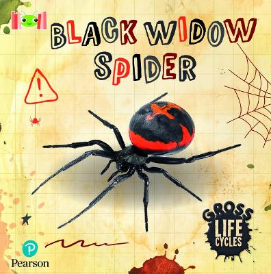 Cover of Bug Club Reading Corner: Age 5-7: Gross Lifecycles: Black Widow Spider