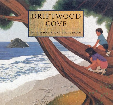 Book cover for Driftwood Cove