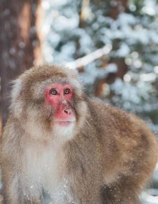 Book cover for Monkey in Snow Blank Lined Notebook