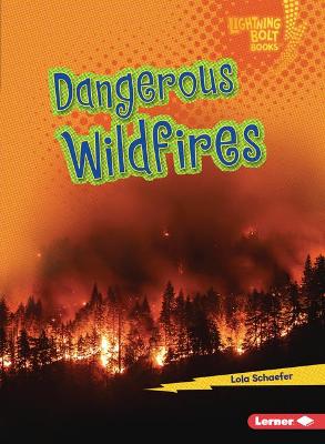 Book cover for Dangerous Wildfires