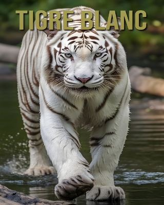 Book cover for Tigre Blanc