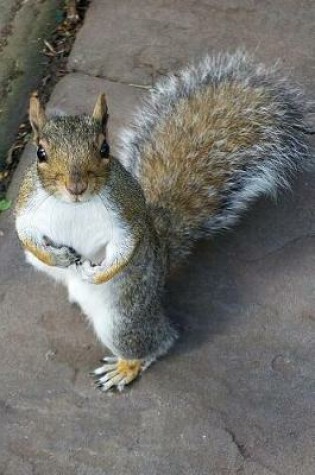 Cover of Squirrel Says, "What Do You Mean By No More Peanuts?" Journal