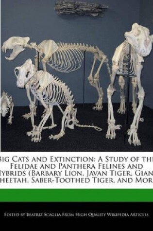 Cover of Big Cats and Extinction