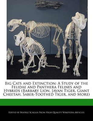 Book cover for Big Cats and Extinction