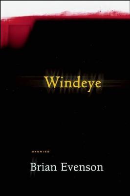 Book cover for Windeye