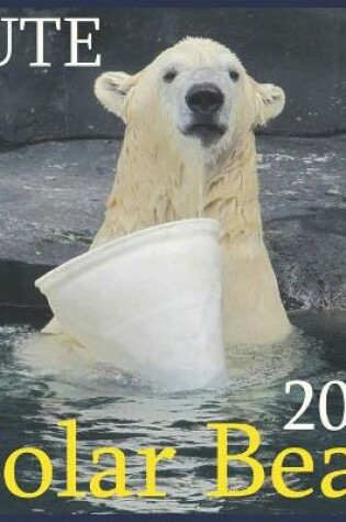 Cover of CUTE Polar Bear
