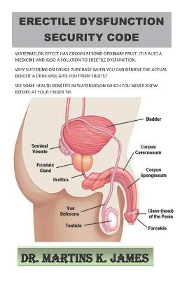 Book cover for Erectile Dysfunction Security Code