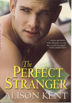 Book cover for The Perfect Stranger