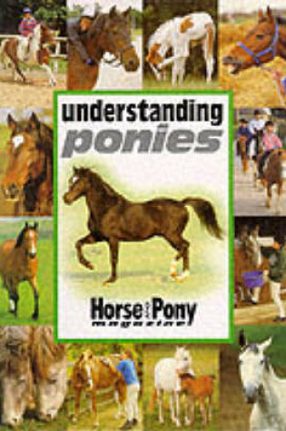 Cover of Understanding Ponies