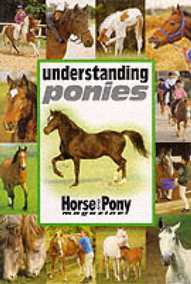 Book cover for Understanding Ponies