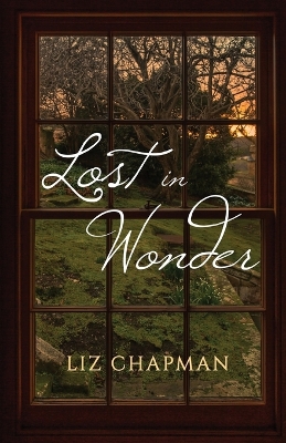 Cover of Lost in Wonder