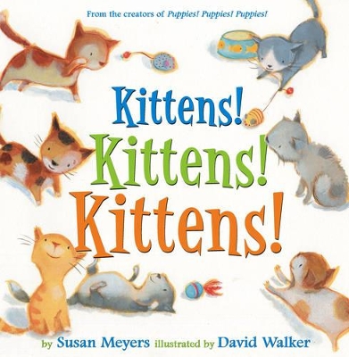 Book cover for Kittens! Kittens! Kittens!