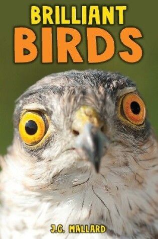 Cover of Brilliant Birds