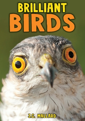 Cover of Brilliant Birds