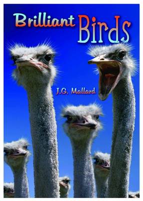 Book cover for Brilliant Birds