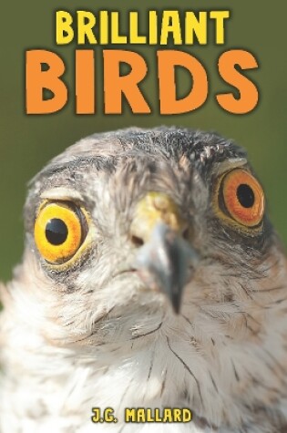 Cover of Brilliant Birds