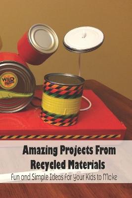 Book cover for Amazing Projects From Recycled Materials