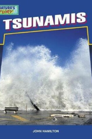 Cover of Tsunamis eBook