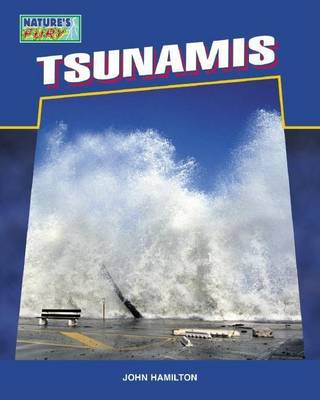 Book cover for Tsunamis eBook