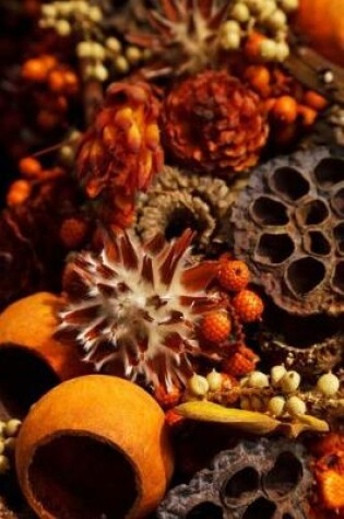 Cover of A Lovely Autumn Vignette of Dried Flowers and Pods Journal