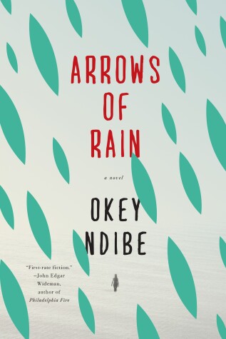 Book cover for Arrows of Rain