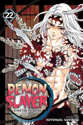 Book cover for Demon Slayer: Kimetsu no Yaiba, Vol. 22